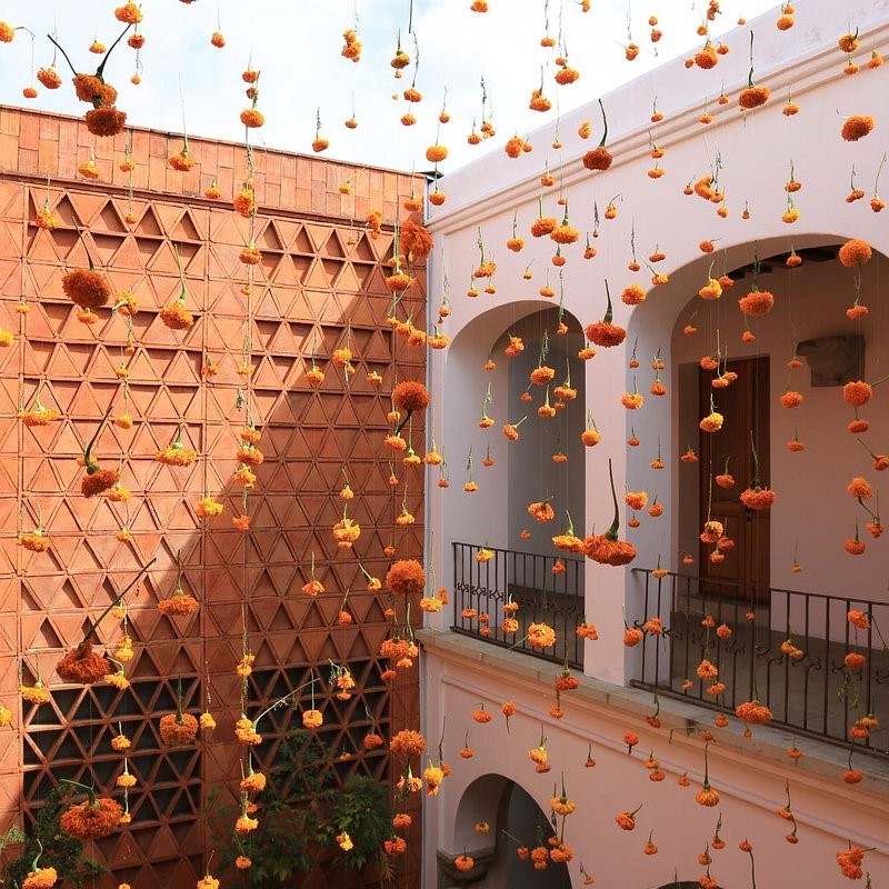 oaxaca textile museum wall